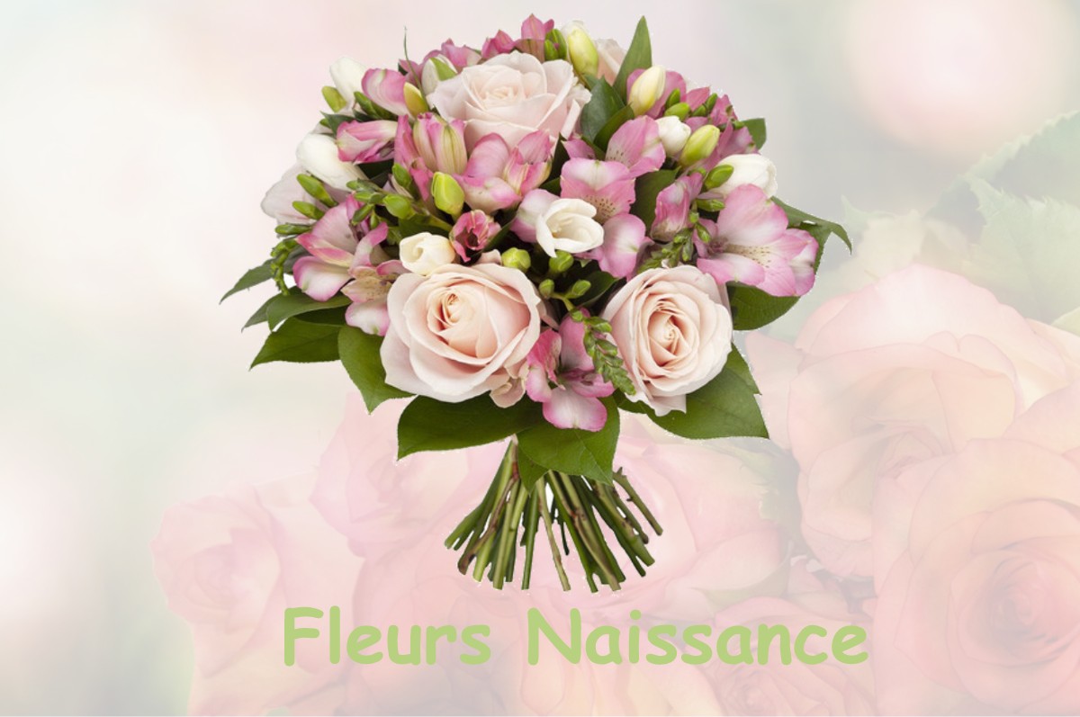 fleurs naissance NANTES-EN-RATIER